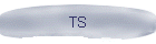 TS